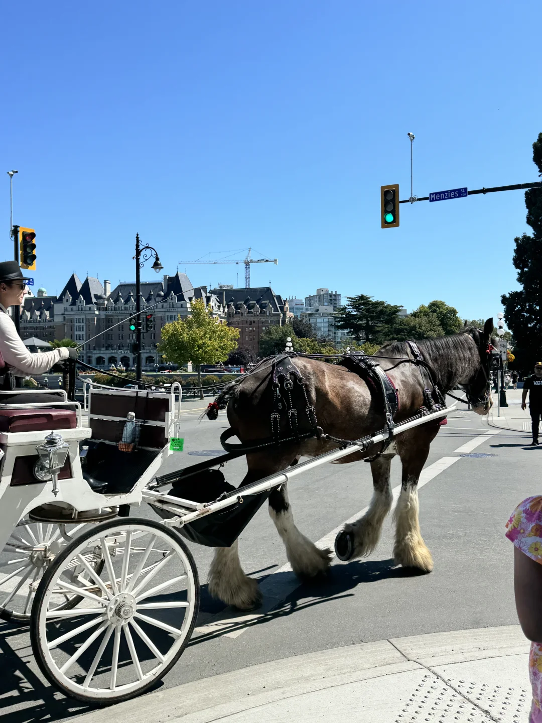 温哥华周边游｜🌸维多利亚岛景点美食指南
