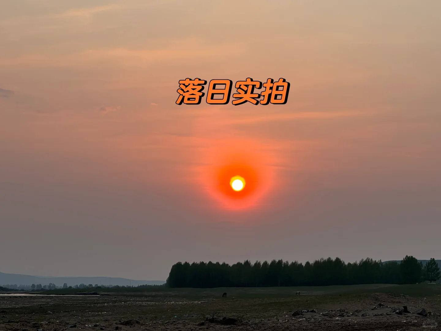 5-8月的坝上草原🌄！！💐美到失语….