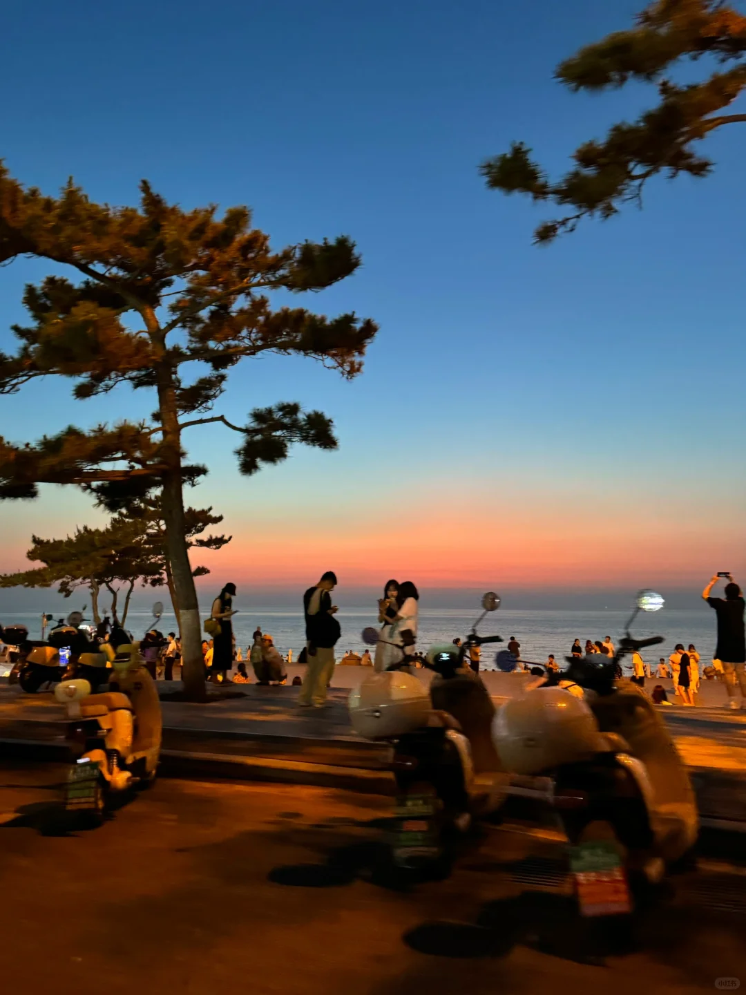 傍晚的威海！！就是一个巨大的lalaland。。。