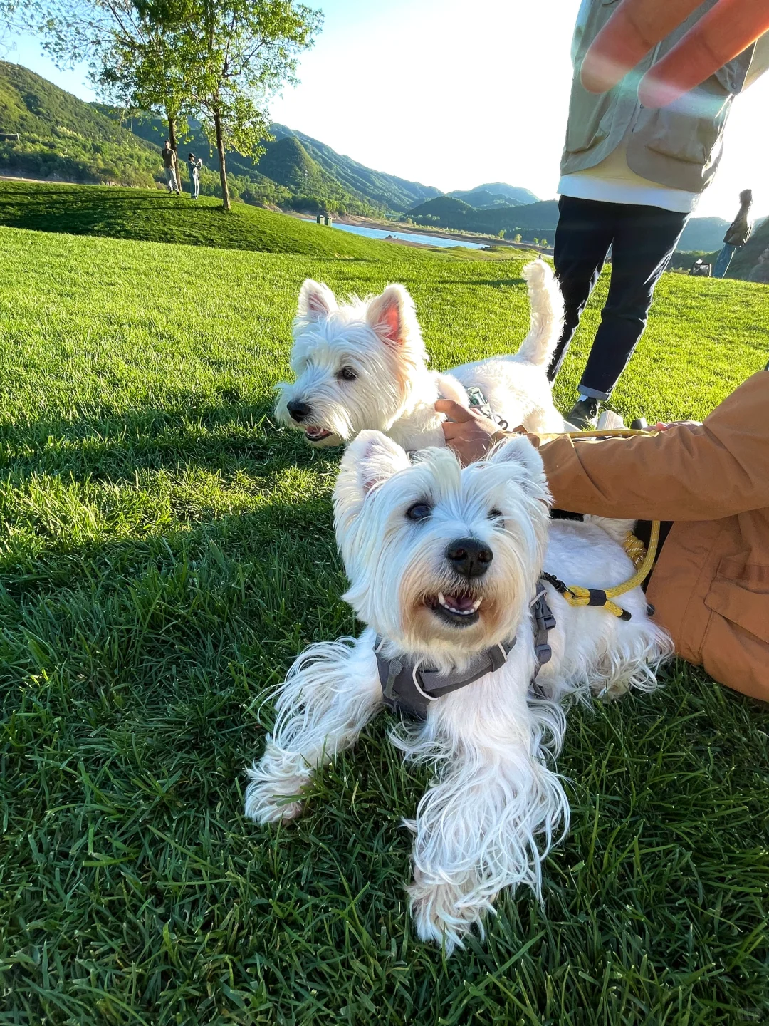 天津2h直达🚗，发朋友圈以为去了瑞士！！！