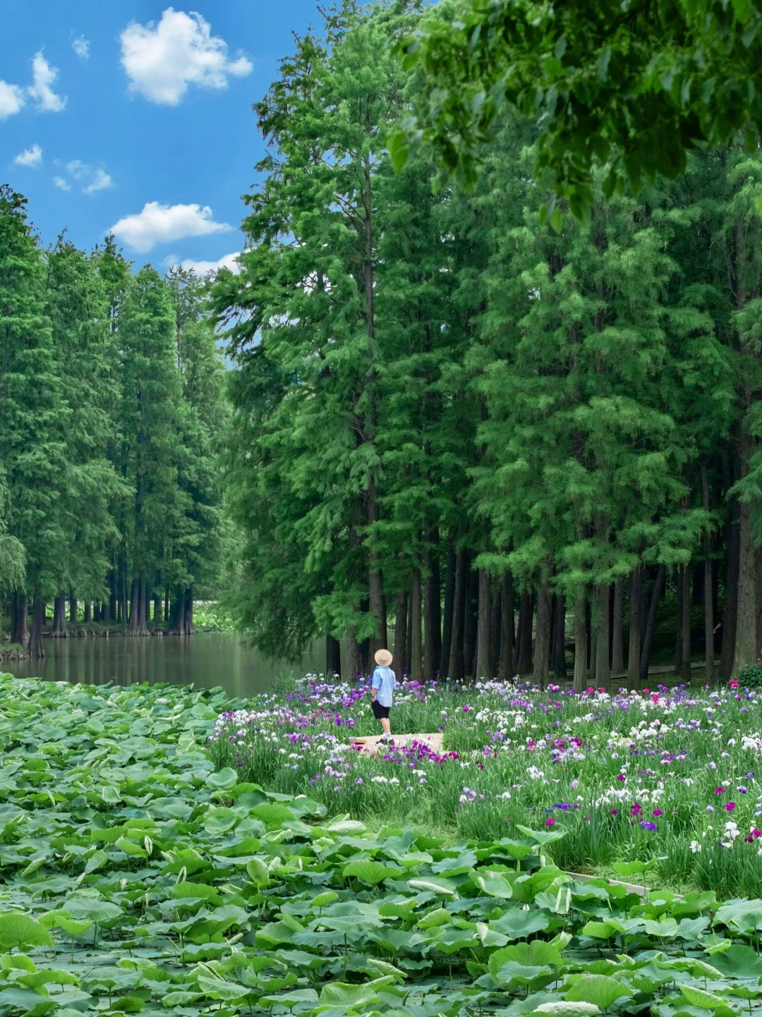 以为苏州很美了！直到我看到这个水上园林🏯