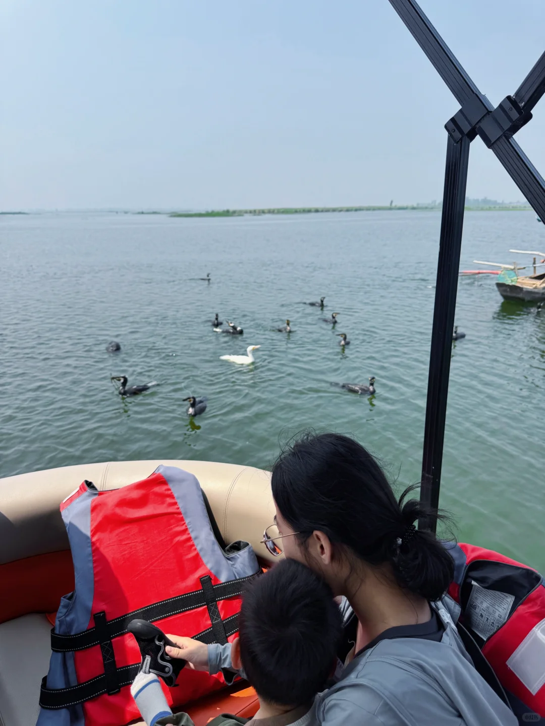 哇塞白洋淀野淀游 ～盛夏傍晚遇见人间晚霞～