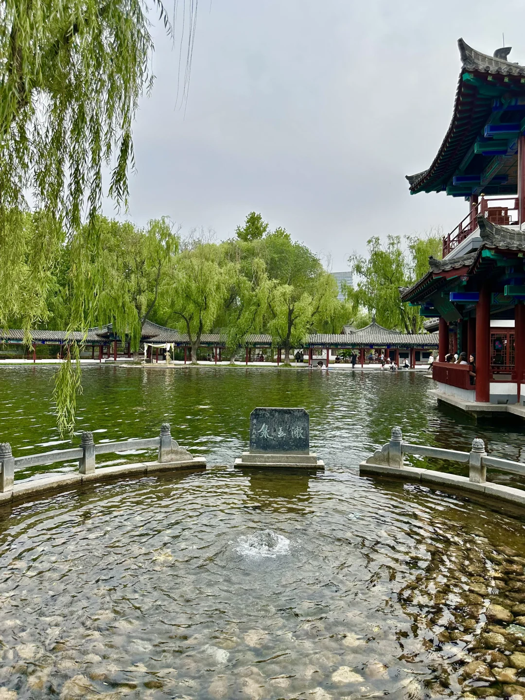 山东也有自己的江南水乡🛶这里真很有生命力