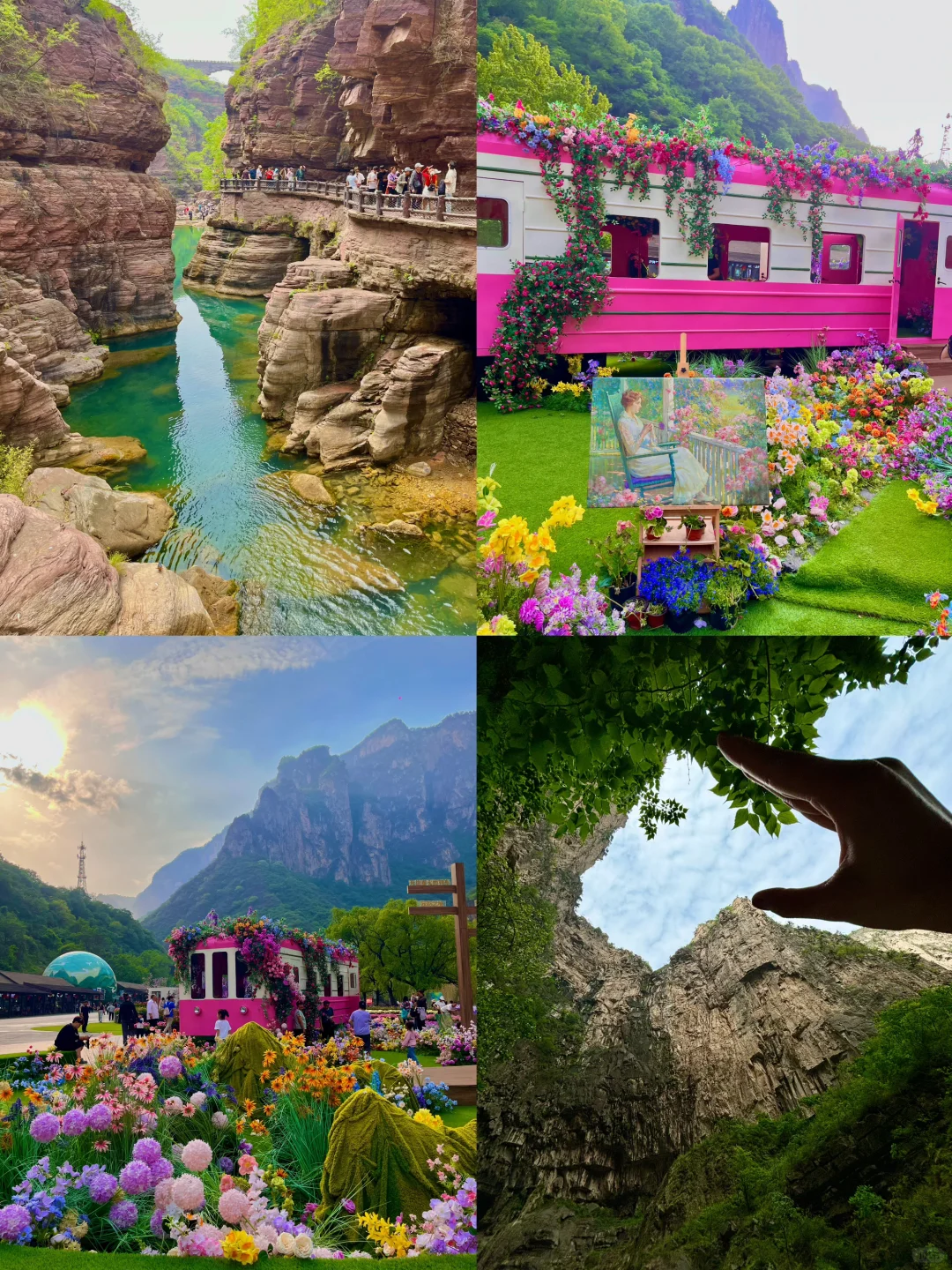童话里的绿野仙踪丨云台山最全攻略🌲🌞