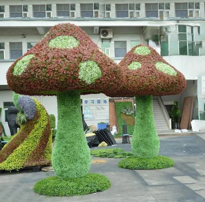 🌿景区新宠，美到令人窒息！