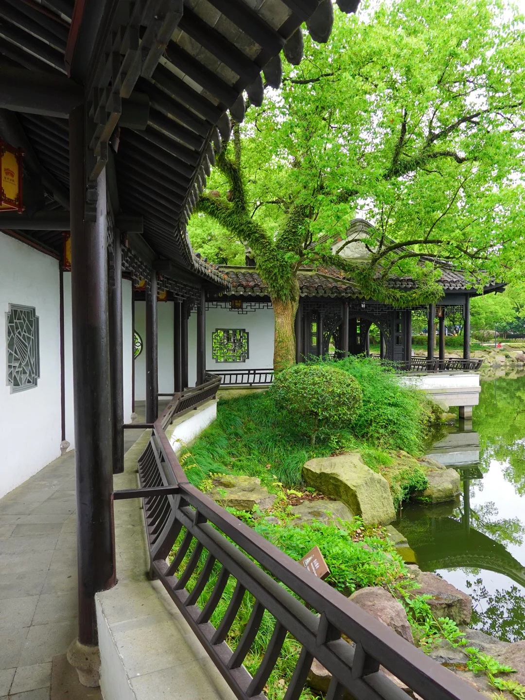 不愧是被《国家地理》评为国内最美古城啊