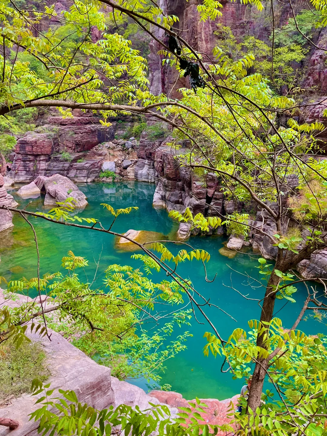 童话里的绿野仙踪丨云台山最全攻略🌲🌞