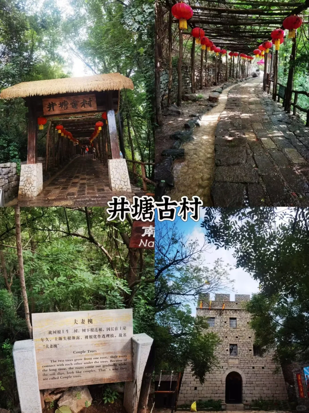 端午出逃🚗邂逅4座静谧古镇⛰️