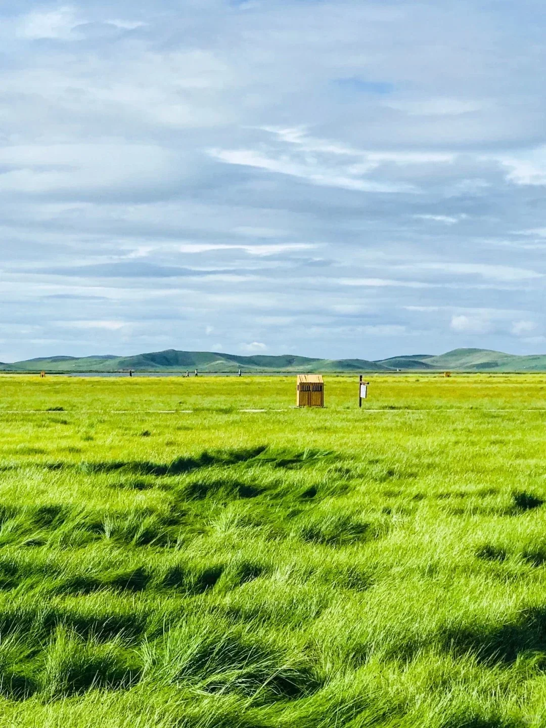 端午反向旅行甘南！推荐个被低估的冷门城市