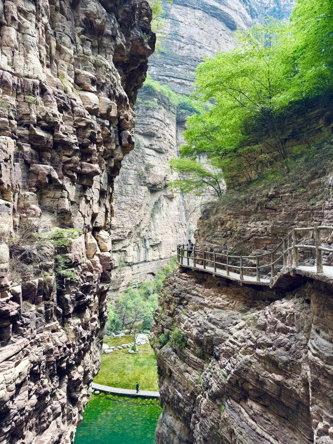 🚗邯郸出发2小时｜进山吸氧