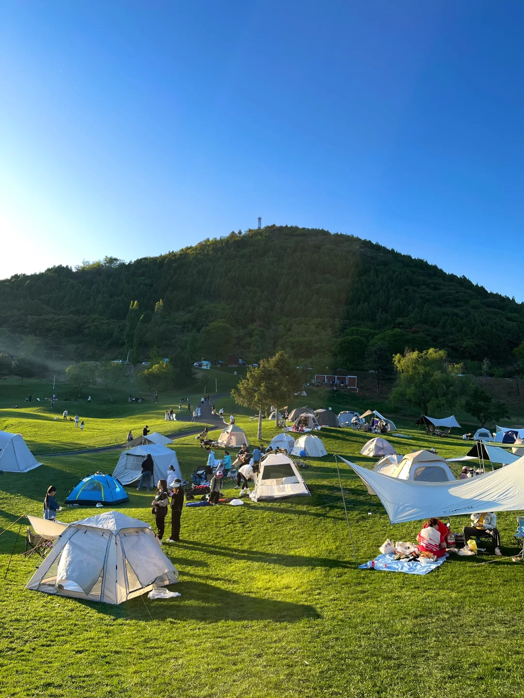 天津2h直达🚗，发朋友圈以为去了瑞士！！！