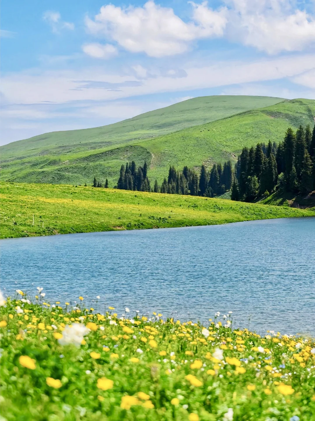 5-8月千万别去新疆伊犁！后劲真的大过失恋