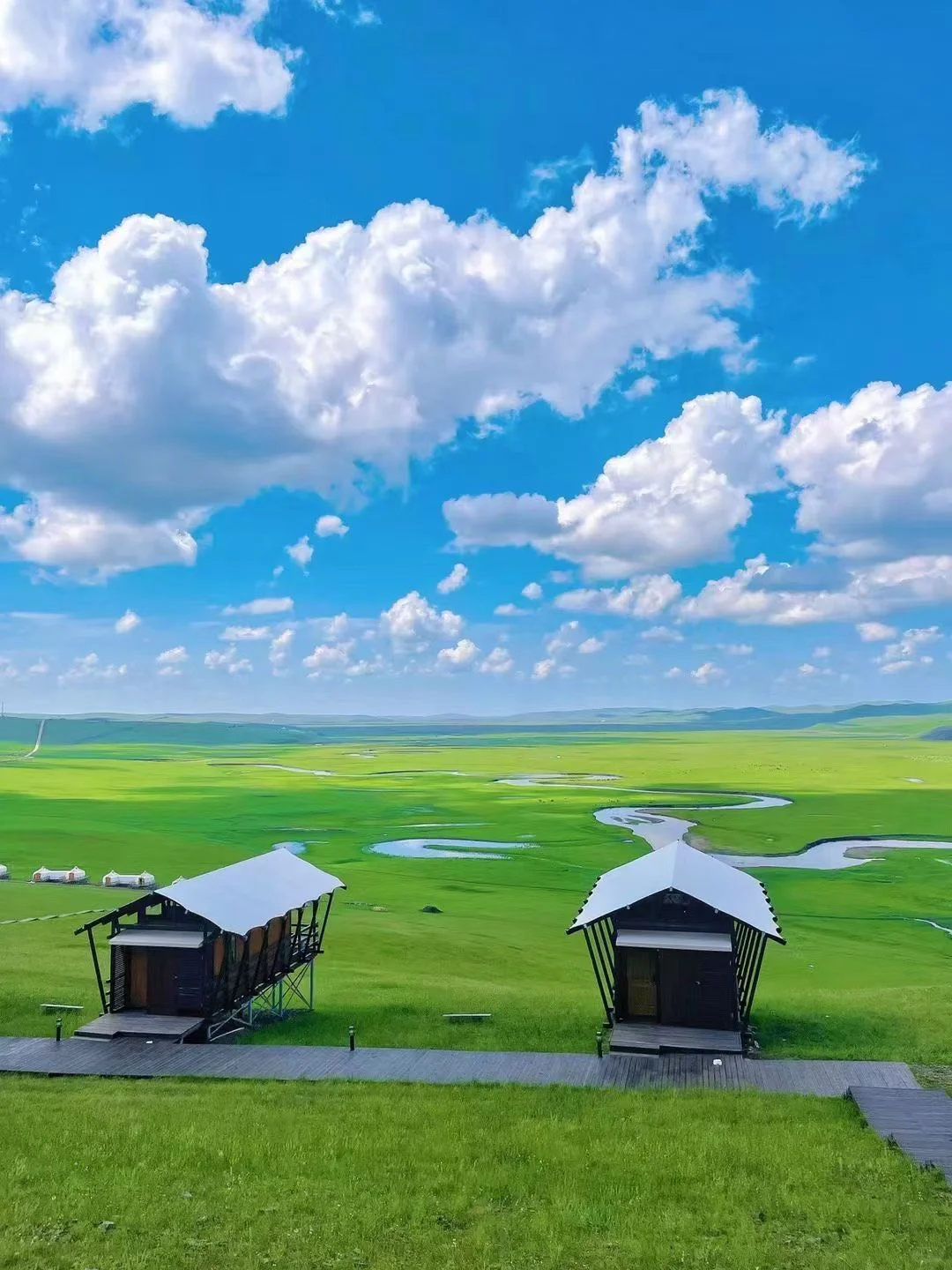 人生建议！一定要在夏天来一次呼伦贝尔，美哭