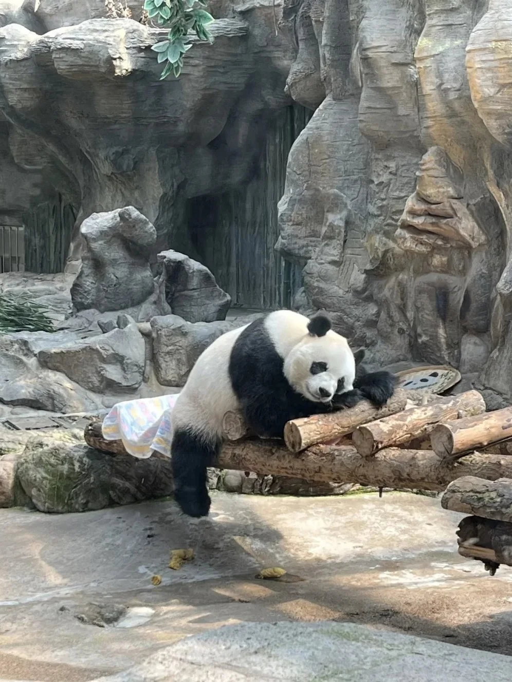 整理了‼️北京🇨🇳最全旅游攻略⭐️