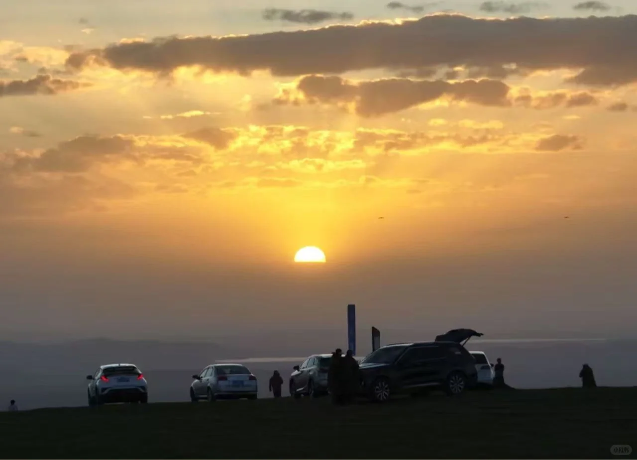 5-8月的坝上草原🌄！！💐美到失语….