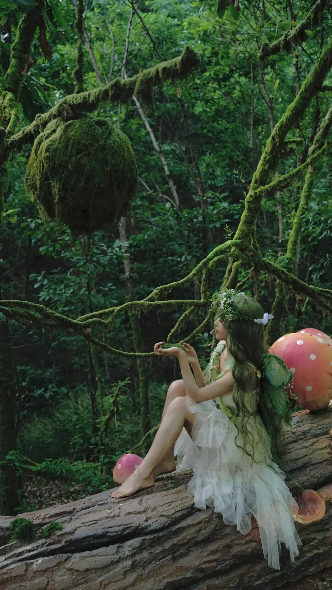 算了，反正你也不相信这童话秘境是在河南‼️