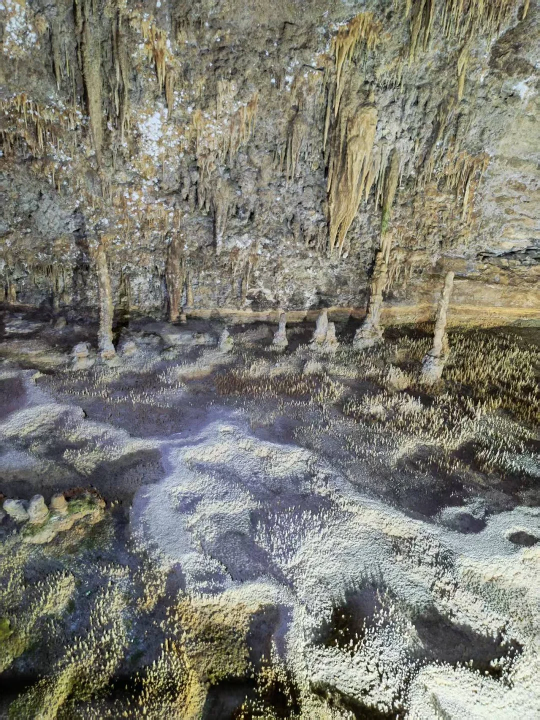 重庆的地下溶洞，居然比山顶还美‼️