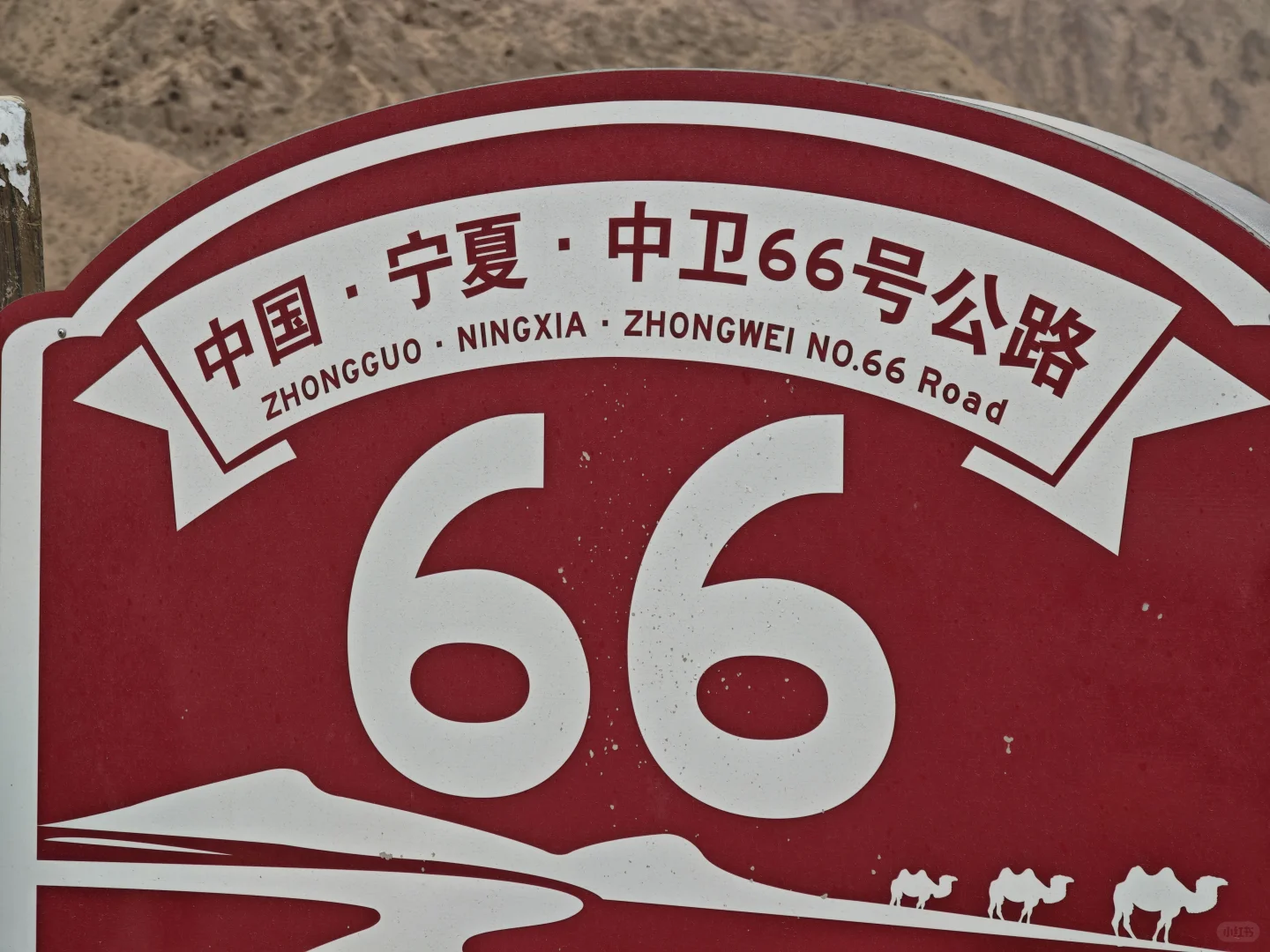 不想当牛马就出去玩玩吧，哈哈哈哈