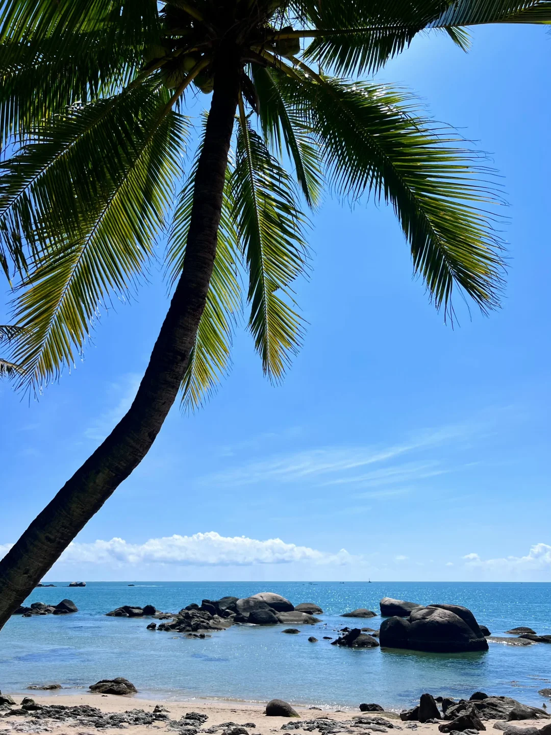 🌴 三亚的海边，美得像一场不愿醒来的梦！