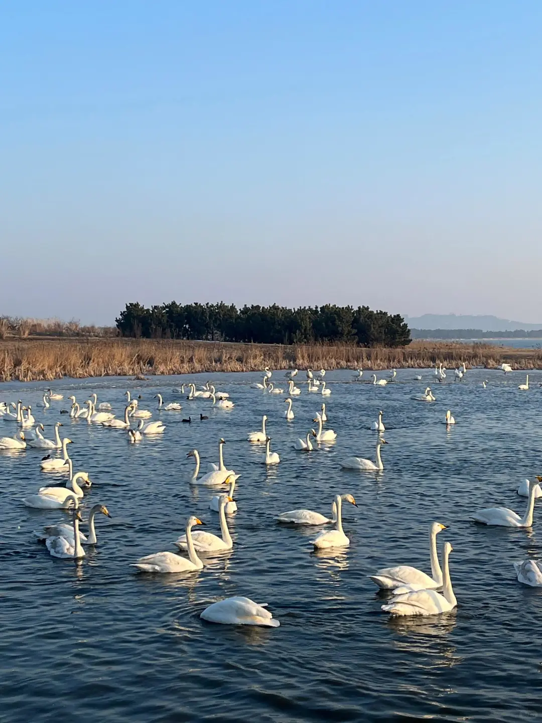 你失约的威海蓝，我替你去看了真的很美🌊