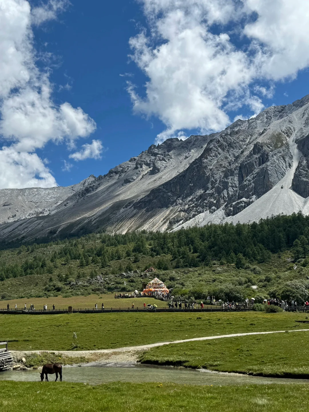 确定了❗️高考后毕业旅行📍来川西稻城亚丁