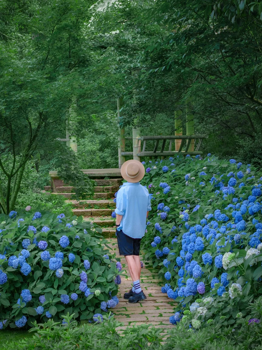 以为苏州很美了！直到我看到这个水上园林🏯