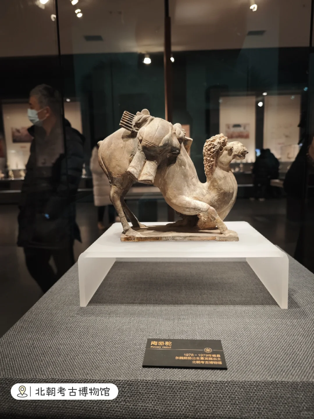 邯郸四日游攻略💕推荐十个景点行程