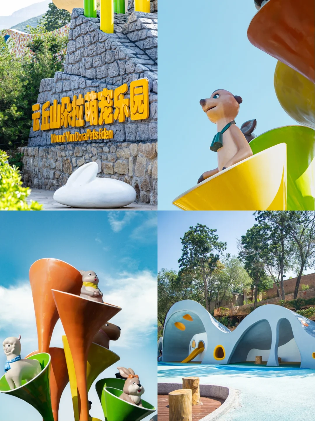 端午遛娃天花板‼云丘山萌宠乐园治愈暴击