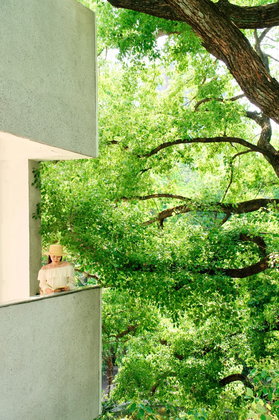 人生建议:去完这❶❷个地方再离开武汉!!