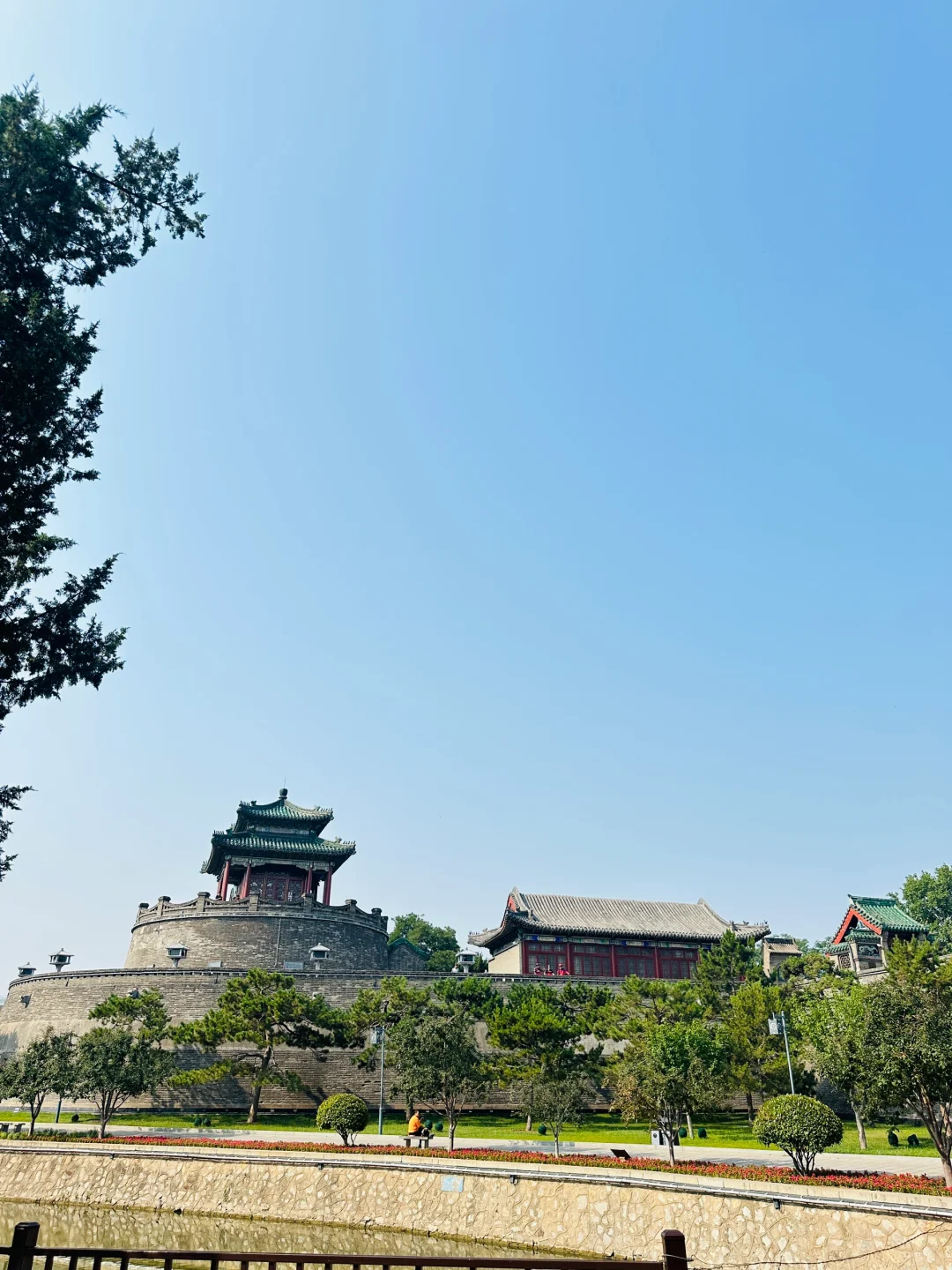 邯郸有点东西❗公园大树开瀑布