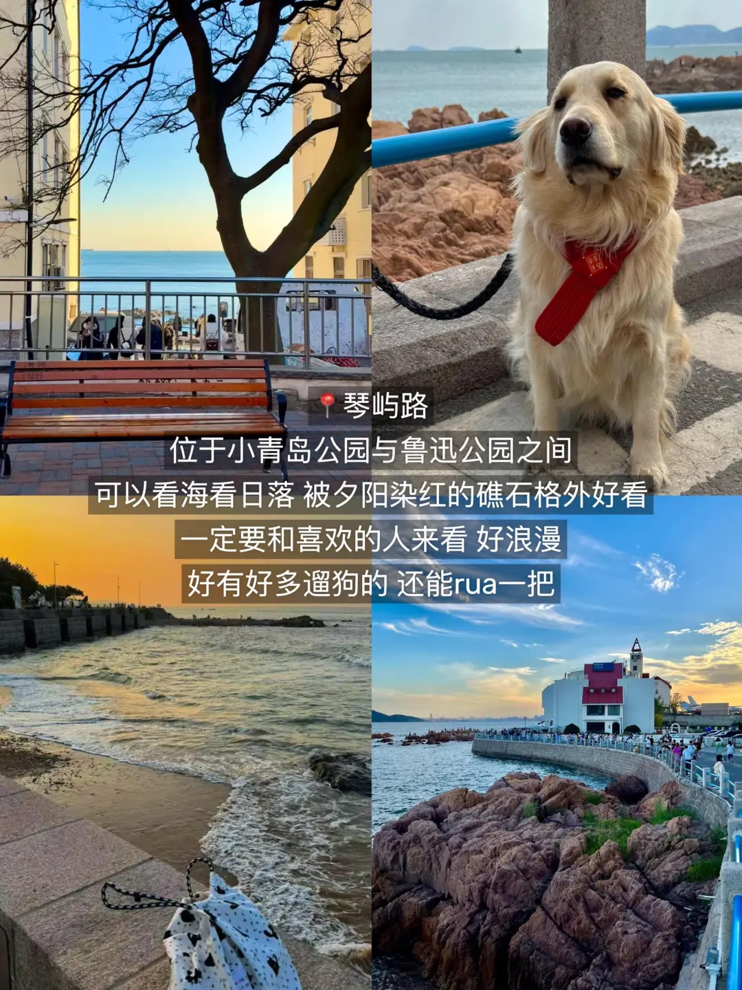青岛会惩罚每一个不预约的人😭……