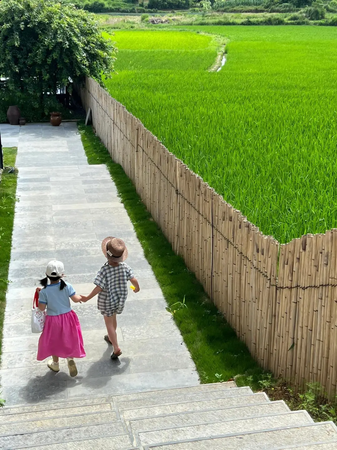 人生建议：带孩子来贵州，一定要暑假去！