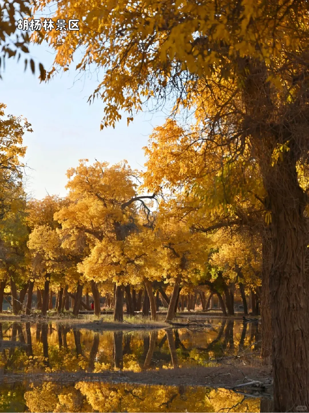 在内蒙古玩了7天，朋友圈被拉黑！