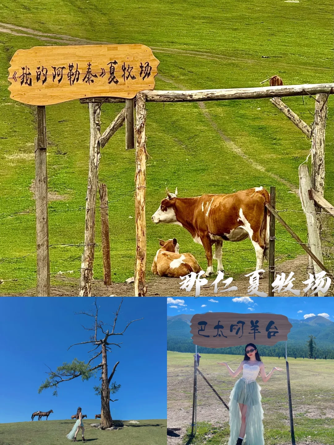 6-8月新疆必游景点 | 梦中的自由地