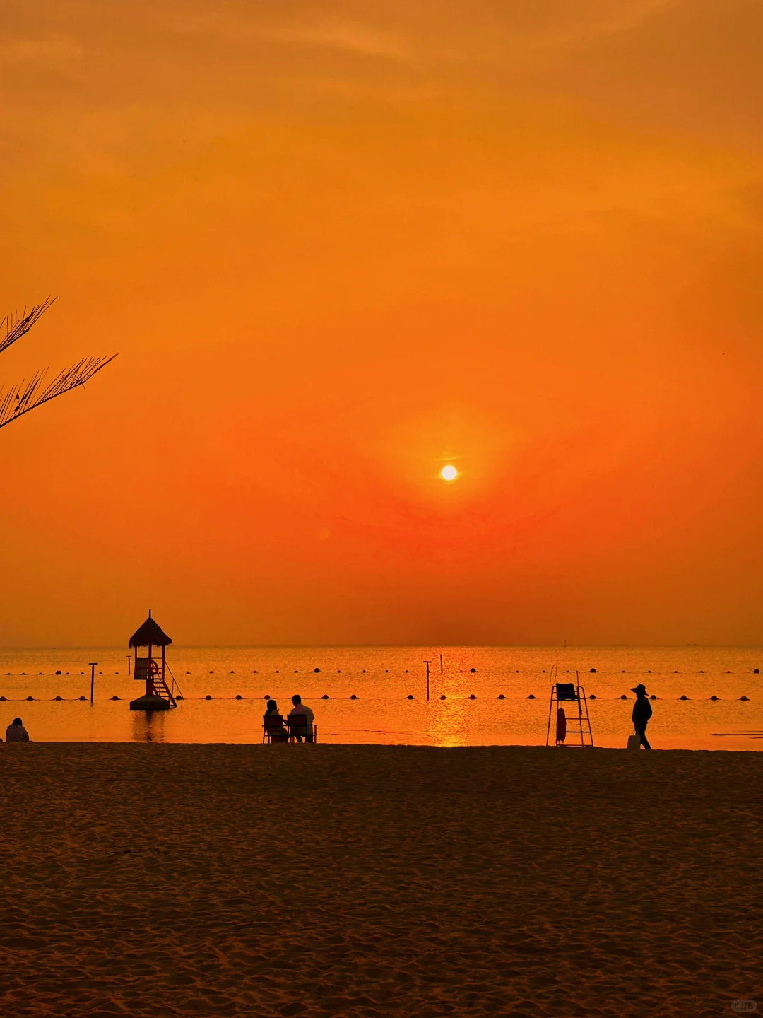 不在三亚‼️在江苏！海上荡秋千美哭😭