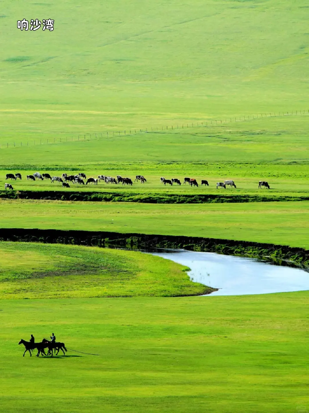在内蒙古玩了7天，朋友圈被拉黑！