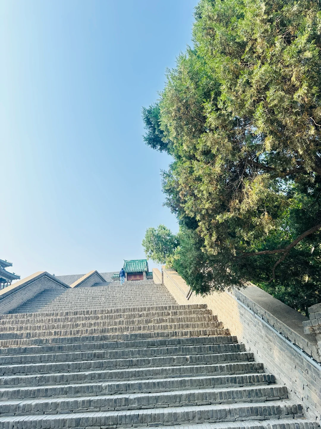 邯郸有点东西❗公园大树开瀑布