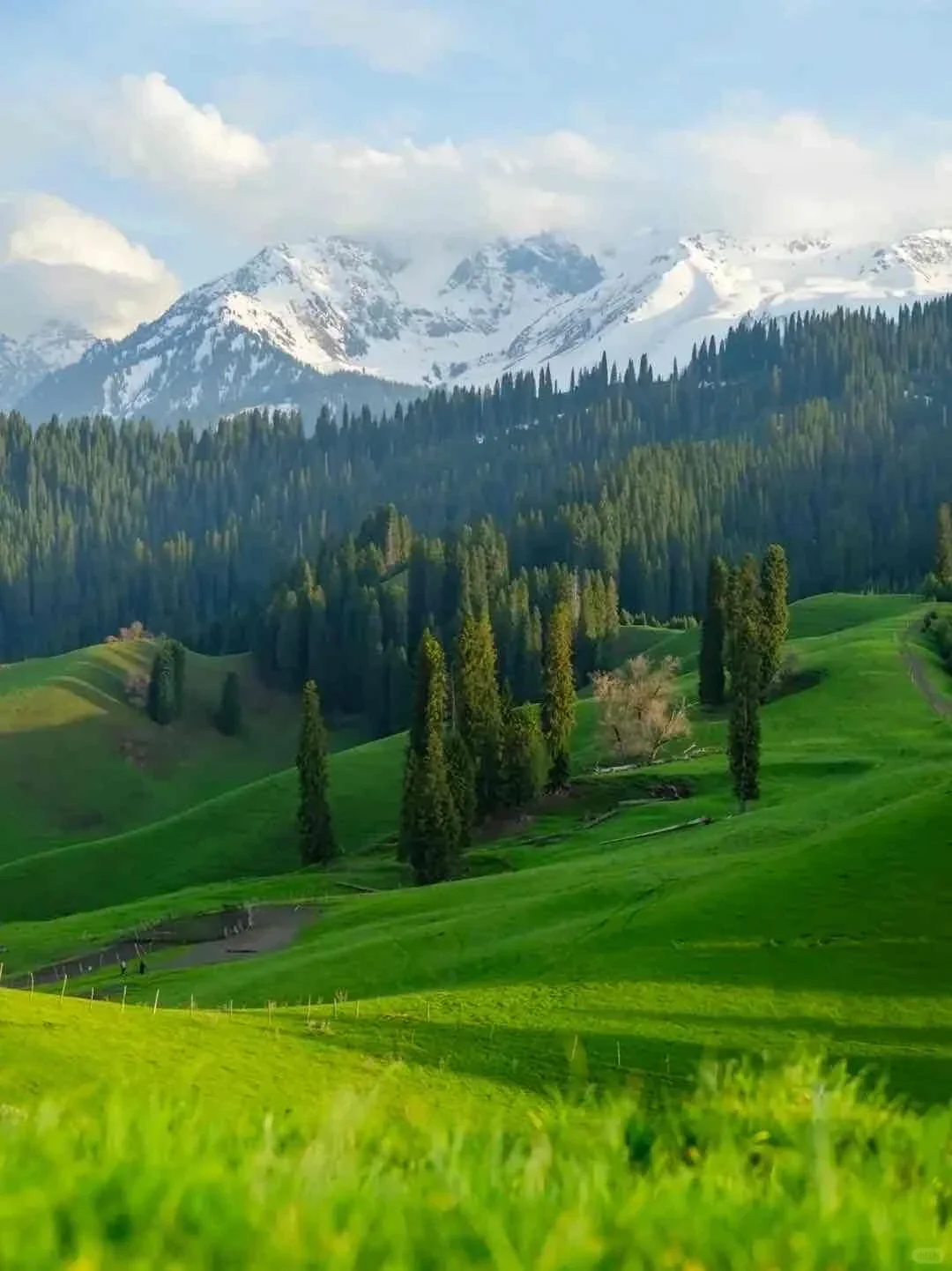 神级景点！真的每一帧都是壁纸！