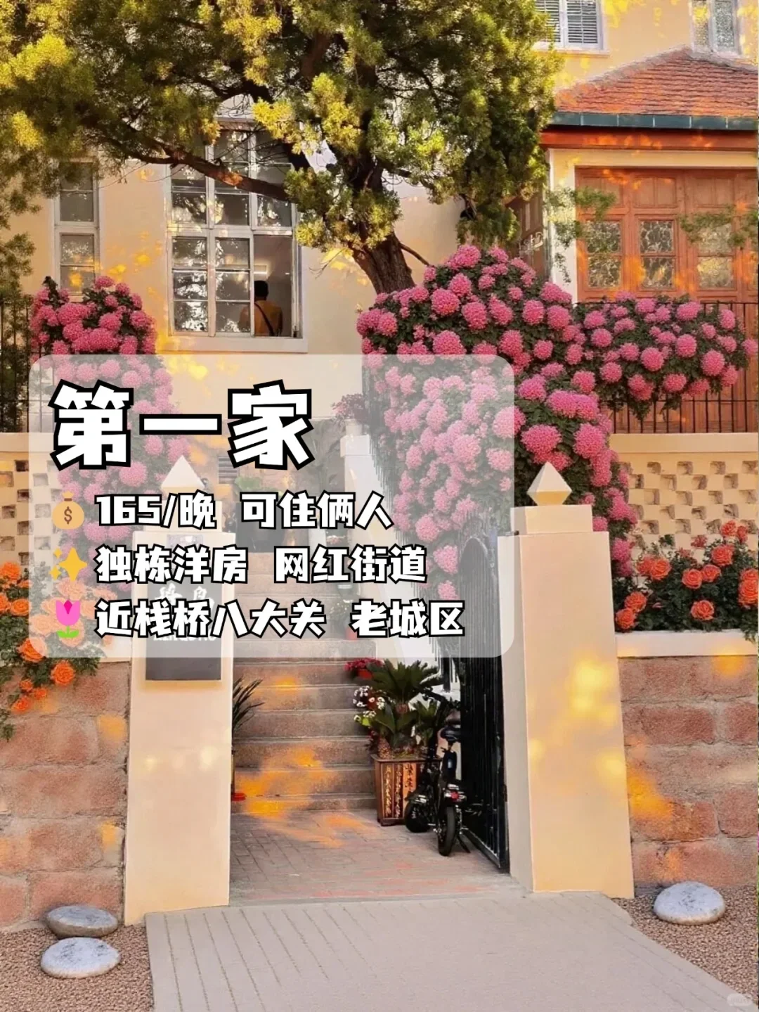 青岛会惩罚每一个不预约的人😭……