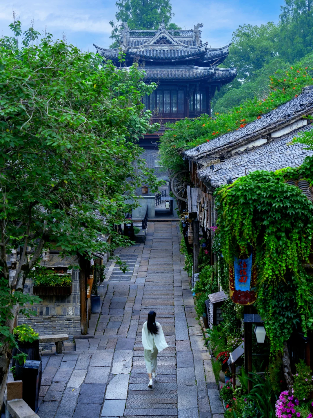 迄今为止,乌镇最惬意的旅游方式出现了🍀