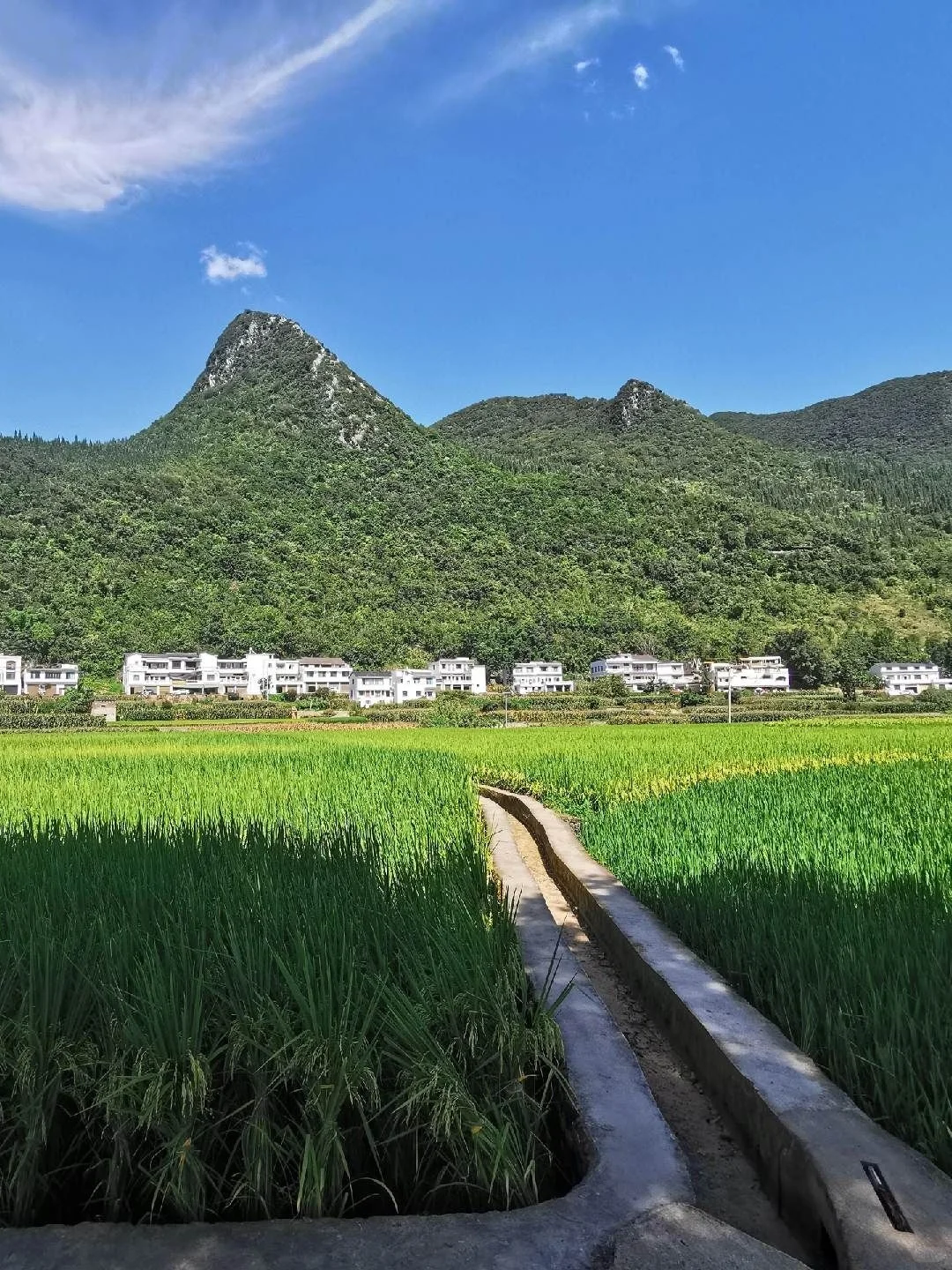 《国家地理》没骗我，这是贵州暑假亲子首选