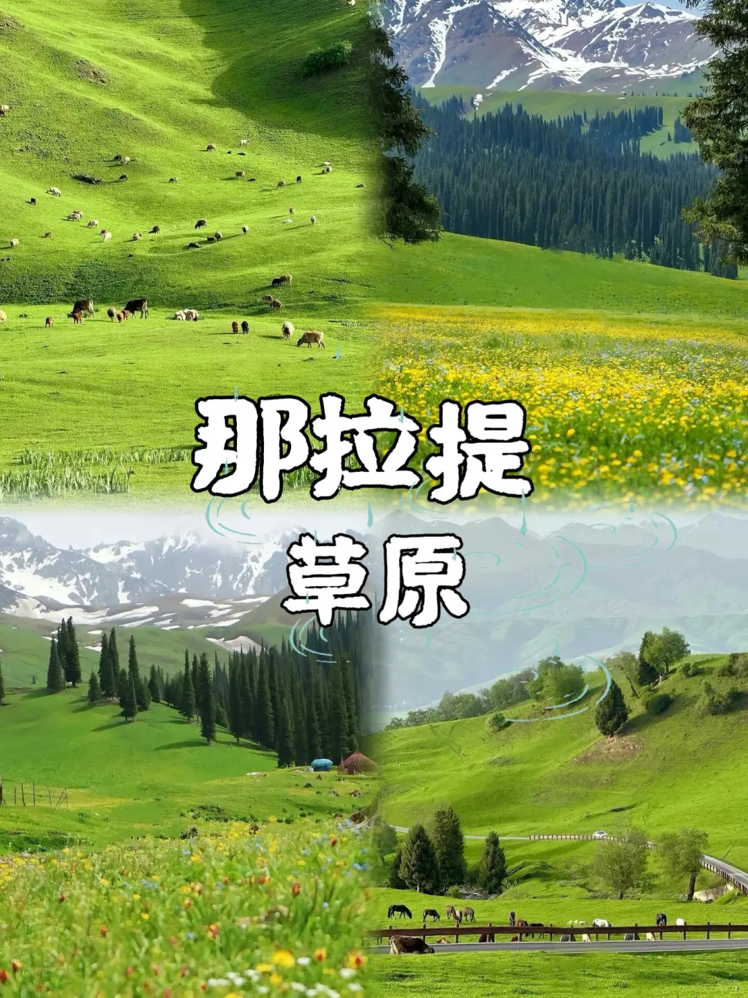 新疆旅游|七日品质纯玩攻略,🔥冲鸭~