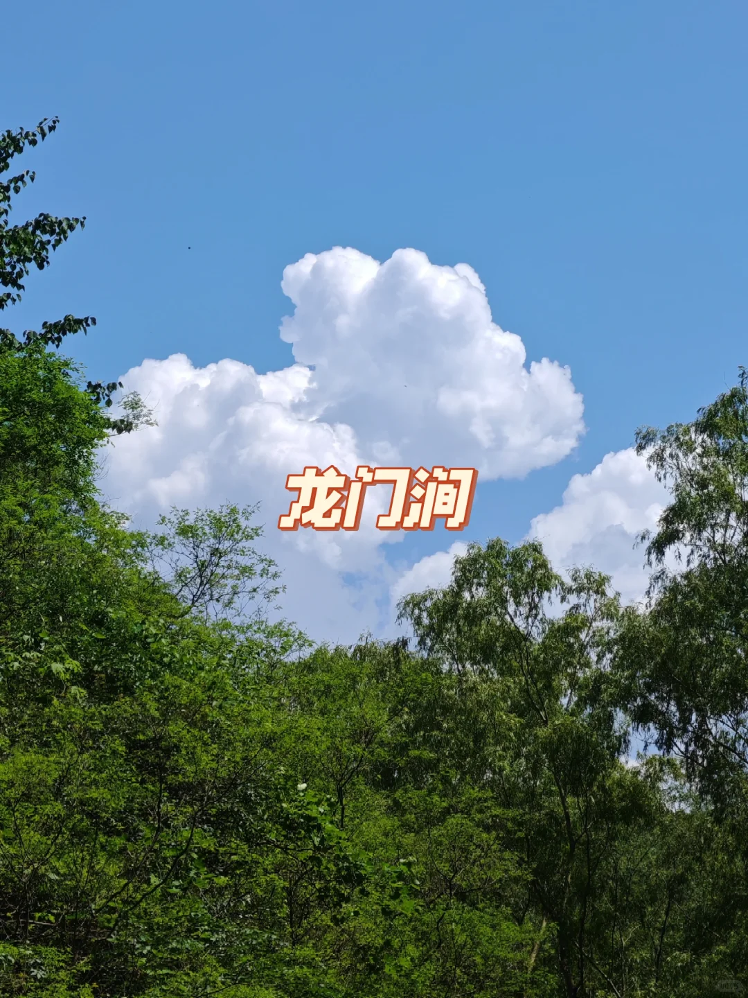 北京小众景点,每年仅开4个月