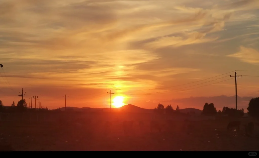 5-8月的坝上草原🌄！！💐美到失语….