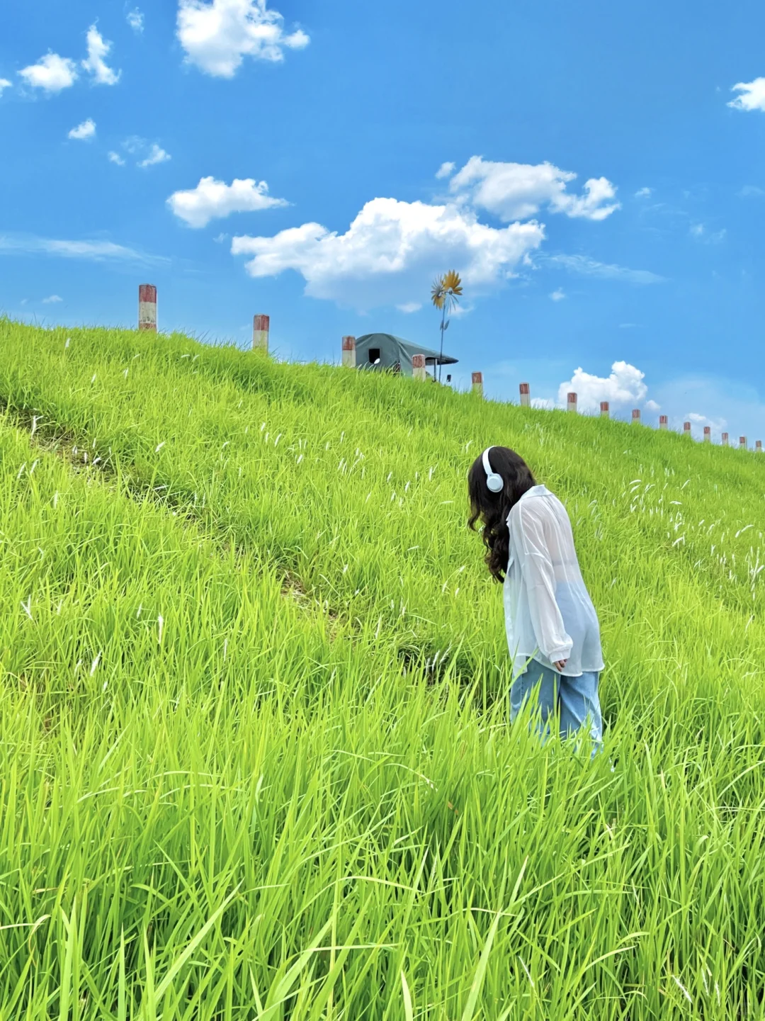 人生建议❗️来涠洲岛一定要去的8️⃣个地方