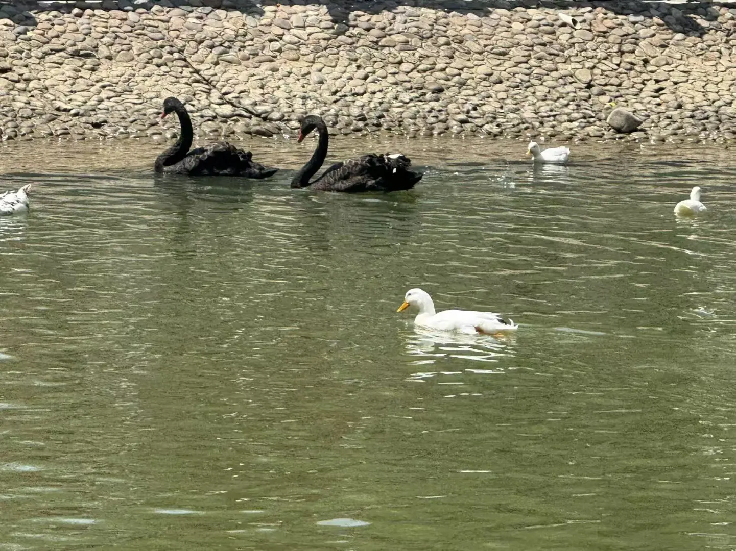 来蒙山大佛景区了