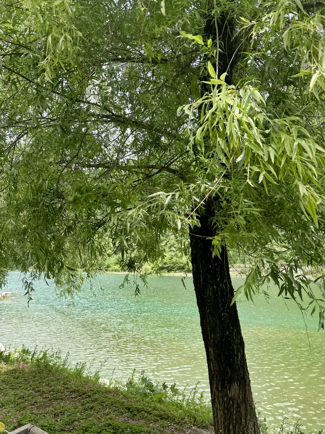 💥救命！甘肃居然藏着比九寨沟还绝的秘境