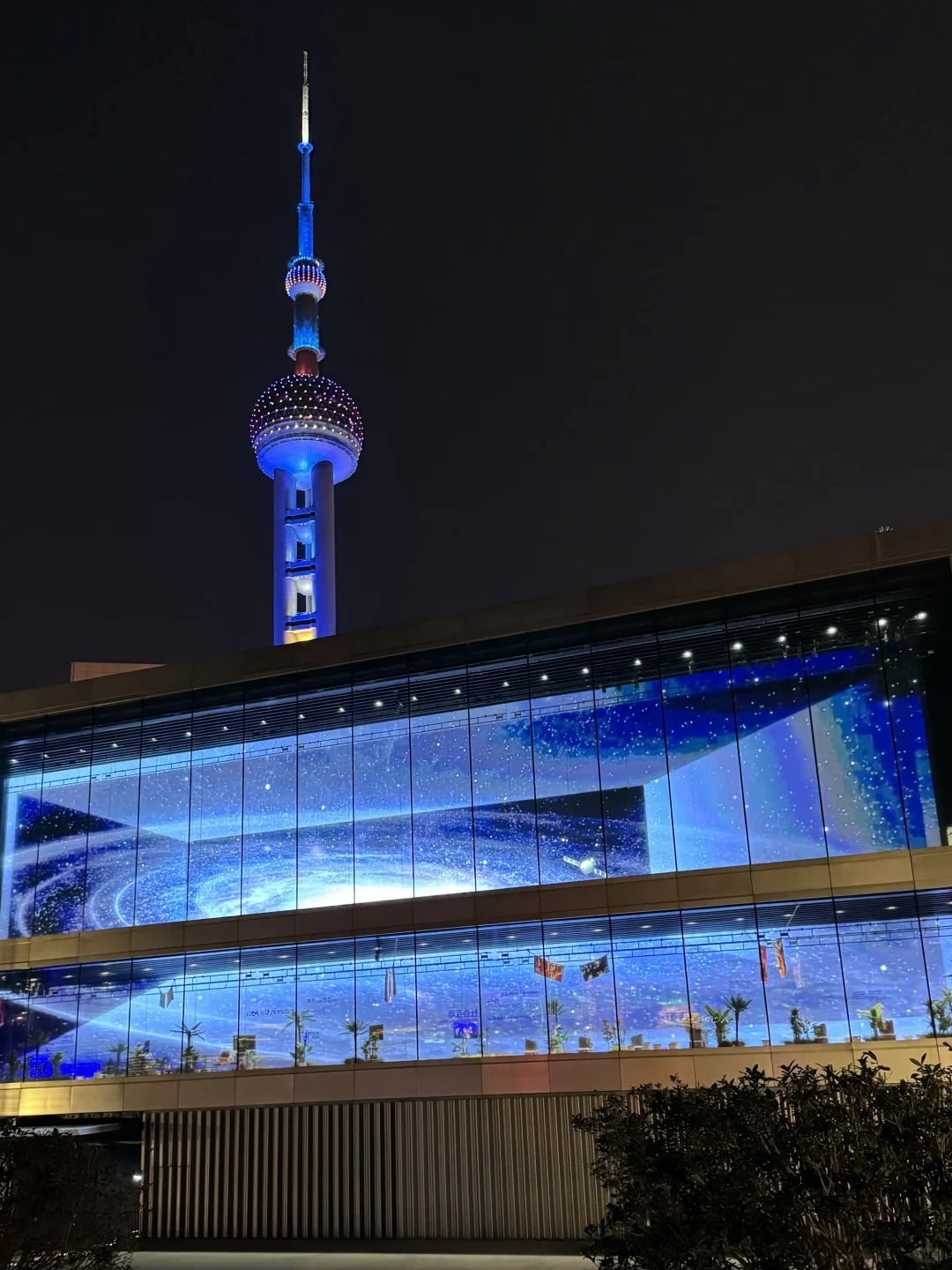 淡季的上海简直就是人间理想……