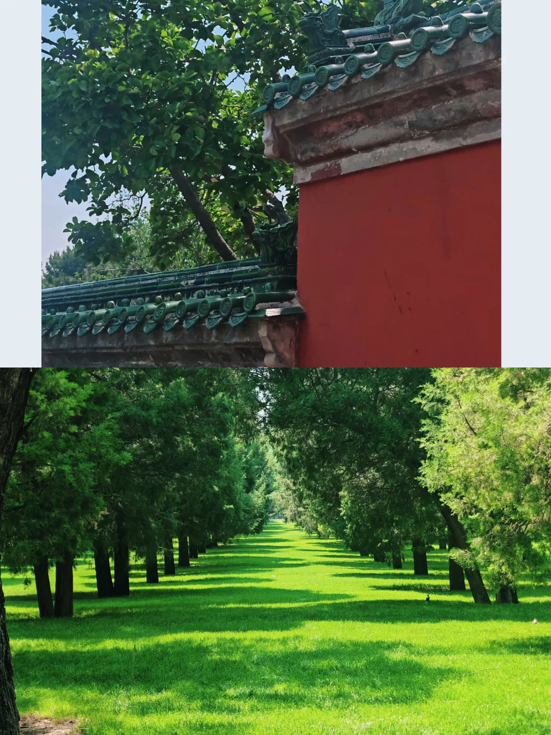 说走就走的特种兵之旅🏃