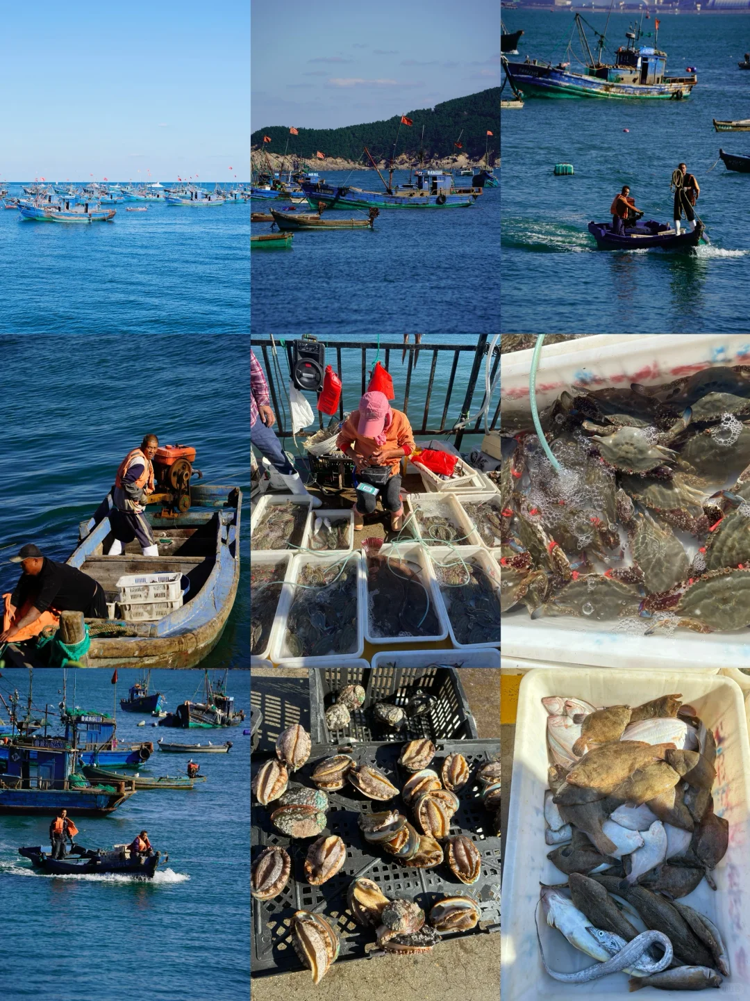 ‼️你永远可以相信隐藏在威海的浪漫❤️